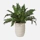 preview thumbnail 1 of 3, Uttermost Verdure Fern In Glazed Pot