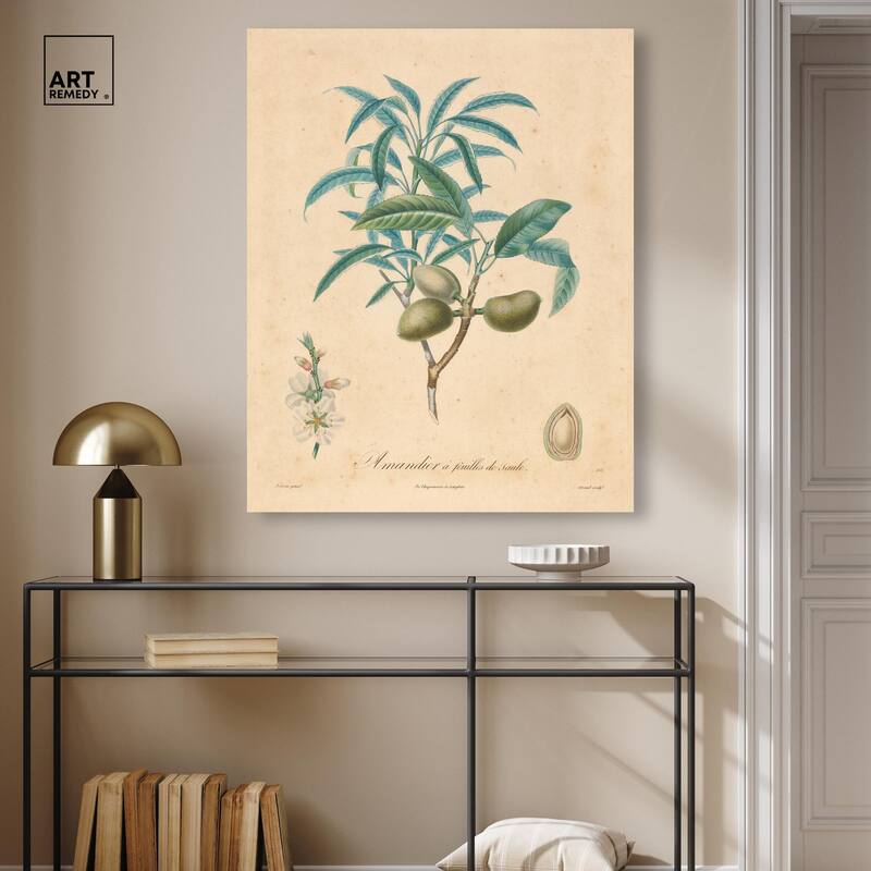 Almond of Georgia II Canvas by Art Remedy, Gallery Wrapped