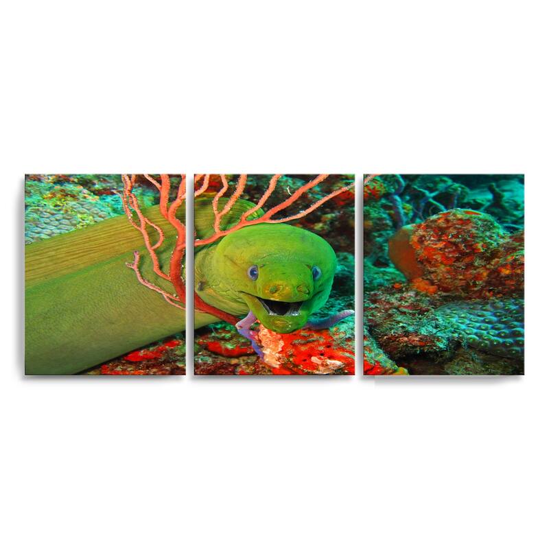 Chris Doherty 'Eel' Canvas Art 3-piece Set