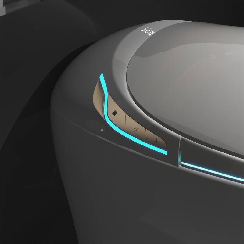 Pink Smart Toilet with Built-in Bidet