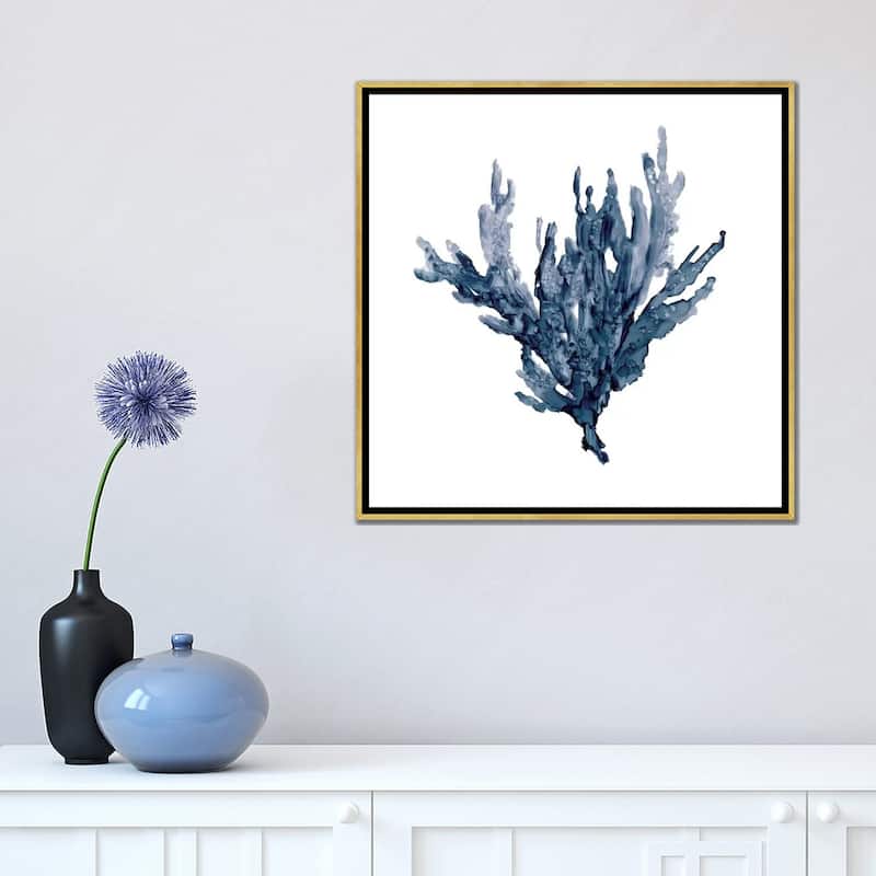 iCanvas "Sea Coral I" by Carol Robinson Framed Canvas Print
