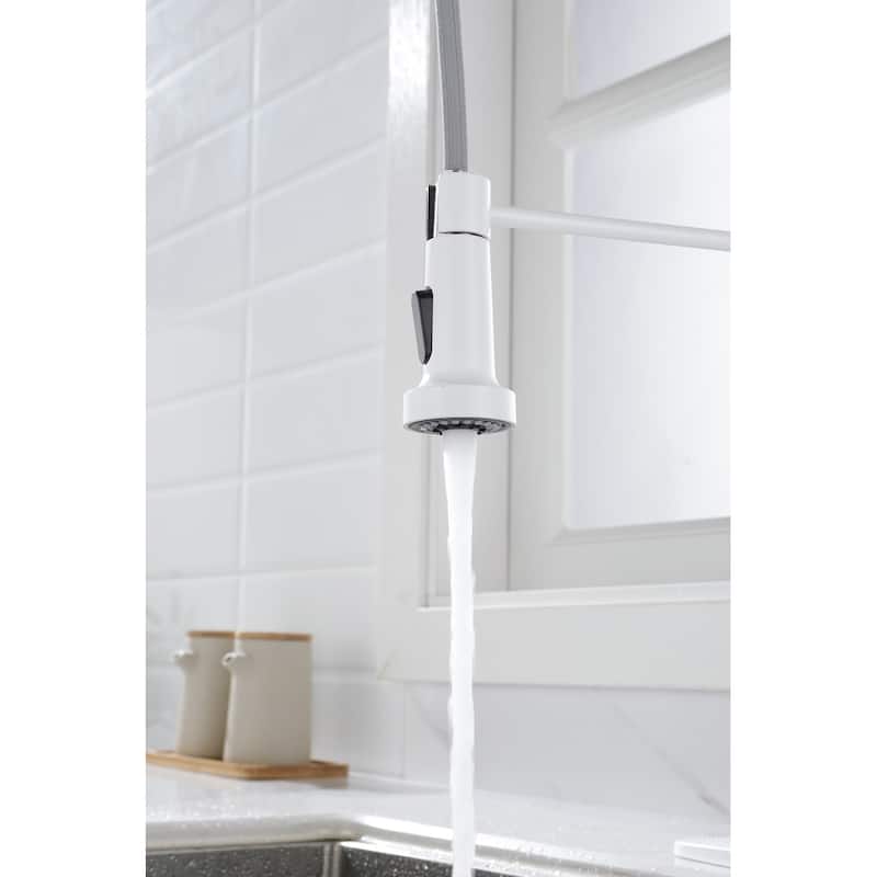 Kitchen Faucet with Pull Out Spraye