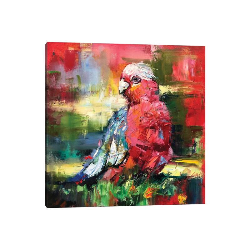 iCanvas "Galah" by Jos Coufreur Canvas Print