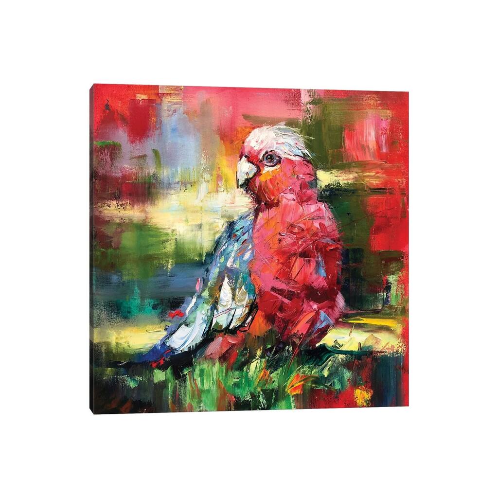 iCanvas "Galah" by Jos Coufreur Canvas Print