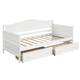 Option White- 2 Drawers