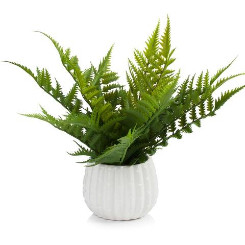 Enova Home 12 Inch Artificial Fern Plant Arrangement in Round Tapered Ceramic Pot with Faux Water - 12"H x 12"W x 12"D - Green