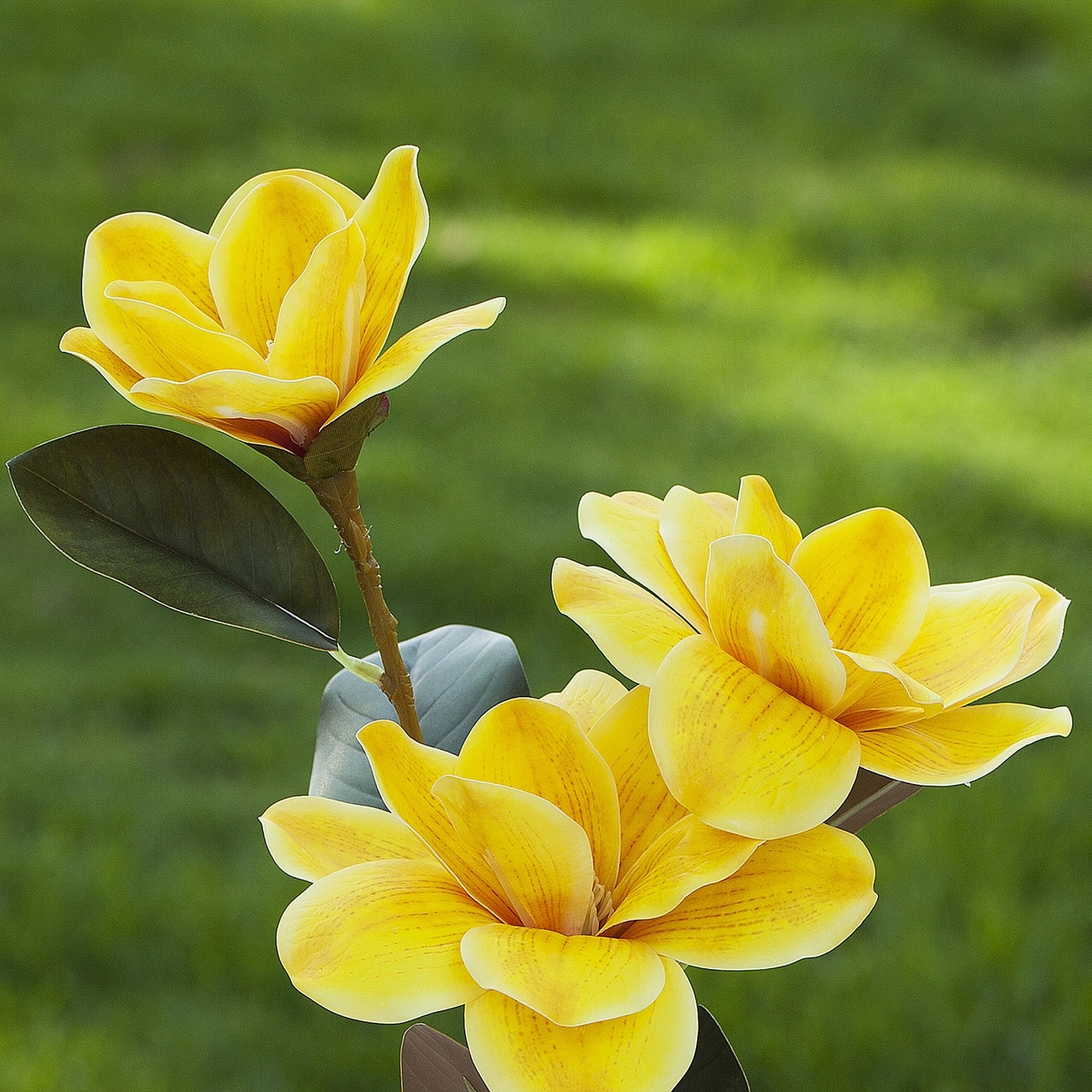 Real Touch Magnolia Artificial Flowers by Enova Home-image