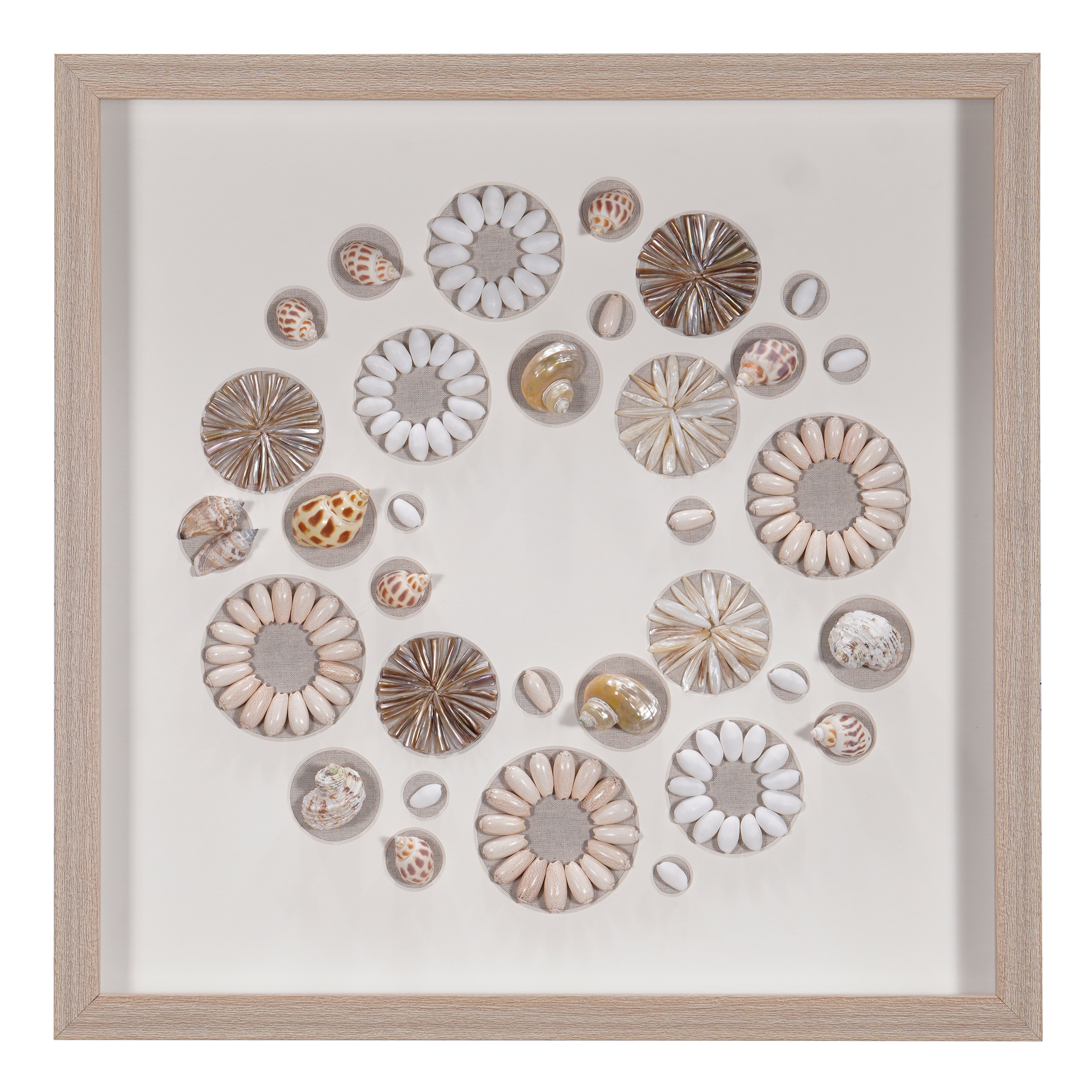 Assorted Natural Shells Shadow Box Wall Decor Wall Art