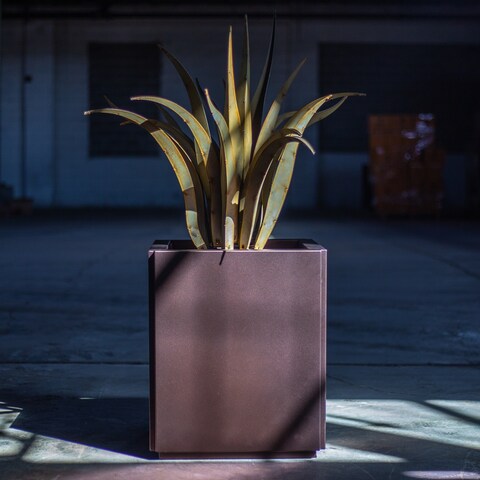 Octopus Agave Steel Planter Combo