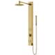 Option Matte Brushed Gold