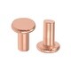 100 Pcs Flat Head Copper Solid Rivets Fasteners - Bed Bath & Beyond ...
