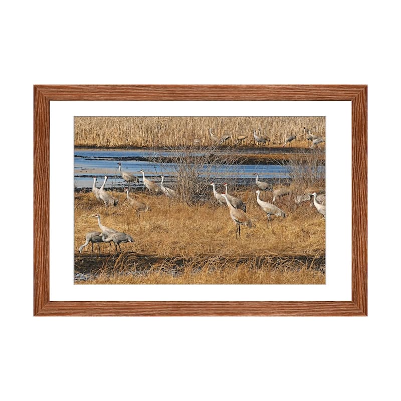 iCanvas "Sandhill Crane Migration" by Brian Wolf PFA - Walnut - 16x24x1