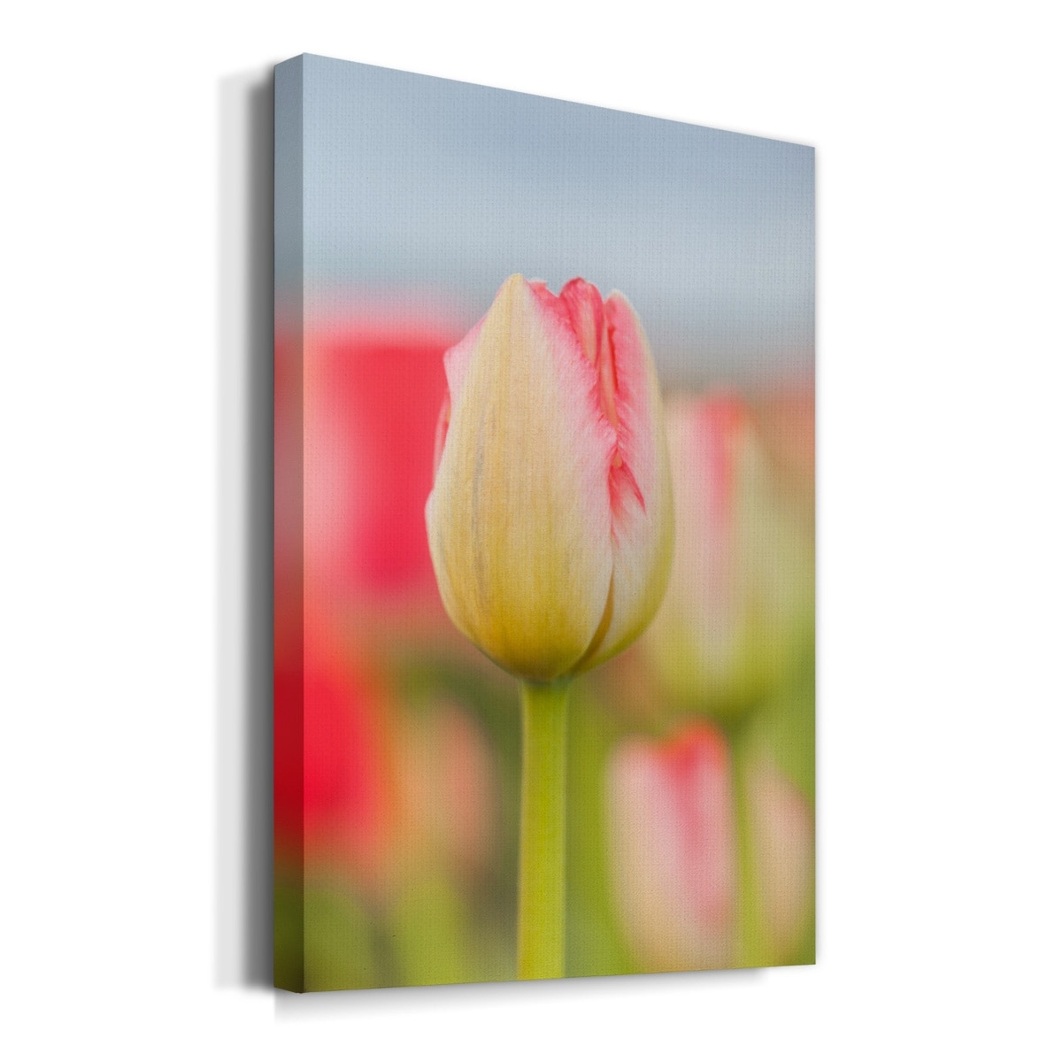 product-thumb