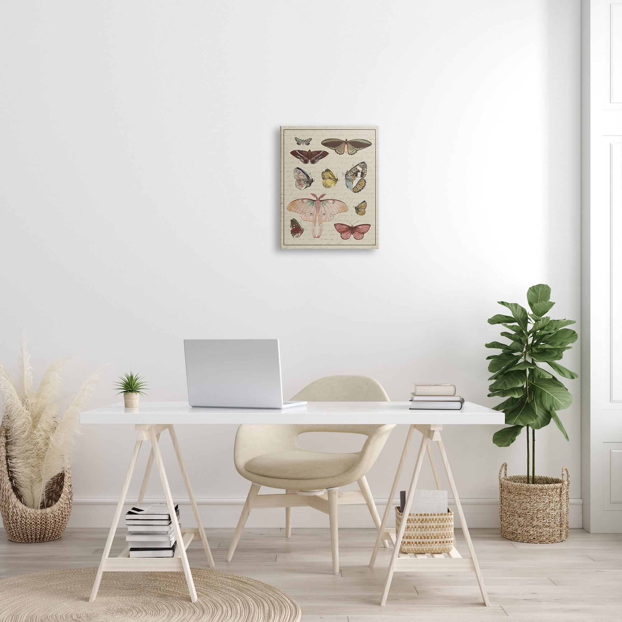 Stupell Vintage Moth and Butterfly Wing Study over Script-image