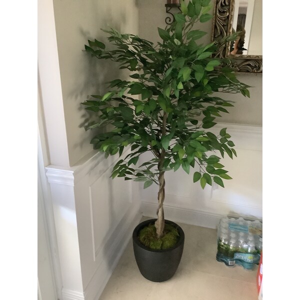 Harney Artificial Tabletop Ficus Tree by Christopher Knight ...