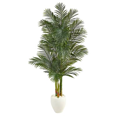 6' Golden Cane Artificial Palm Tree in White Planter - 13"