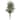 6' Golden Cane Artificial Palm Tree in White Planter - 13"