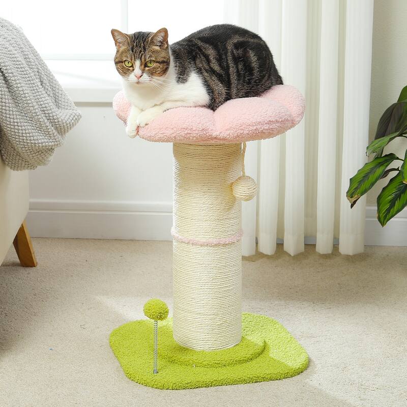 Small Flower Cat Scratching Post, Cat Tree with Super Thick Scratching Post, Removable Flower Cat Bed & Spring Ball