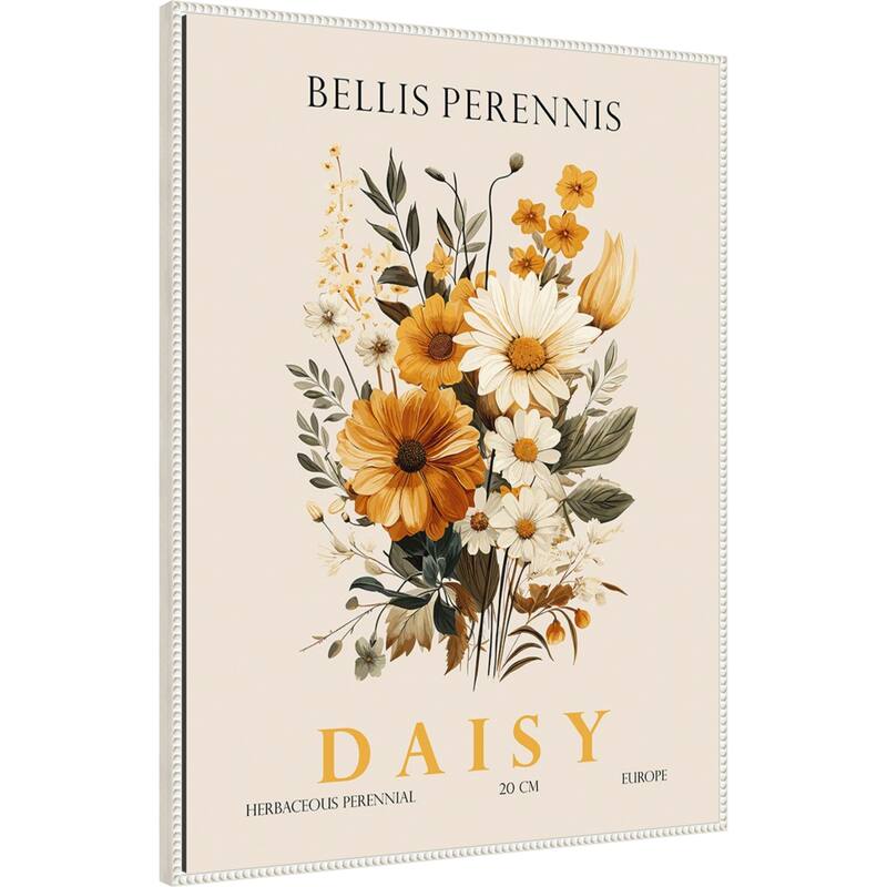 Vintage Botanical Daisy Illustration by Christopher Giampietro Framed Canvas Wall Art Print