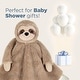 preview thumbnail 5 of 4, Bearington Baby Lil' Speedster 15" Sloth Snuggler Security Blanket