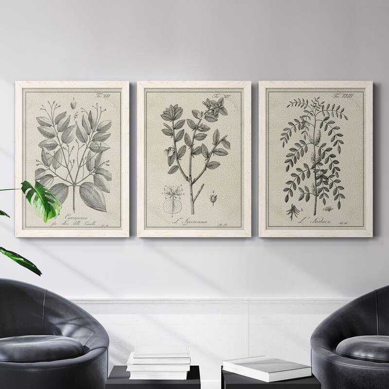 Antique Black & White Botanical VII-Premium Framed Canvas - Ready to Hang - Multi-Color