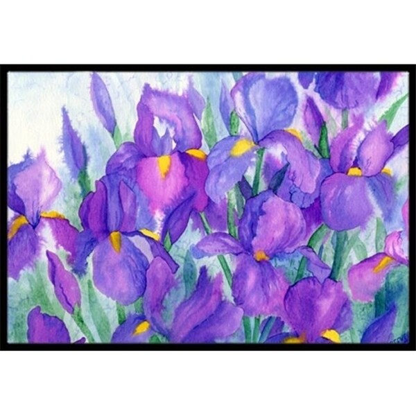 Carolines Treasures IBD0256JMAT Purple Iris Indoor or Outdoor Mat 24 x 36