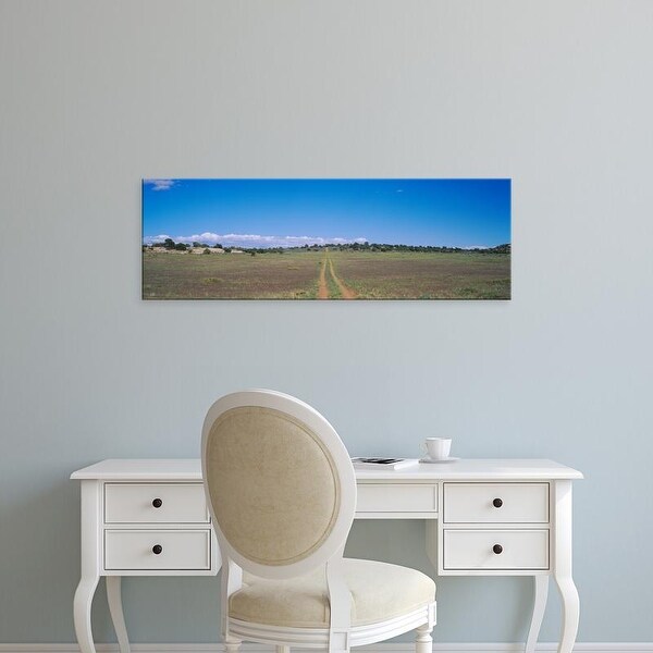 Easy Art Prints Panoramic Images's 'Tire Tracks On A Field, Canyonlands National Park, Utah, USA' Premium Canvas Art