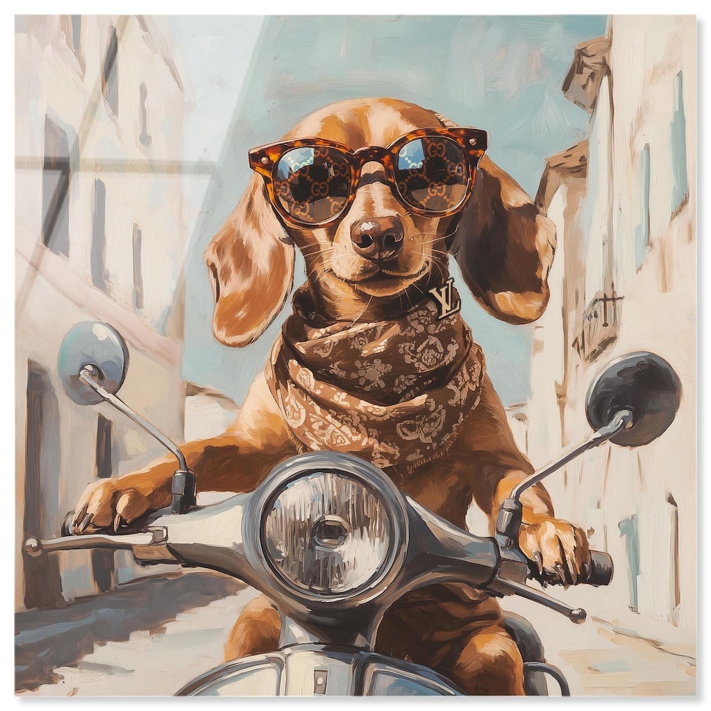 Doxxie on a Scooter Drive Acrylic by Art Remedy, Ready to Hang