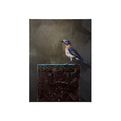 Graceful Poise II (Eastern Bluebird)(30 x 40) Canvas Art Print