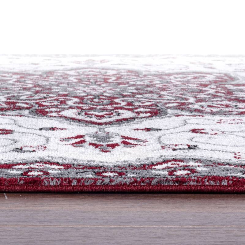 Traditional Medallion Area Rug