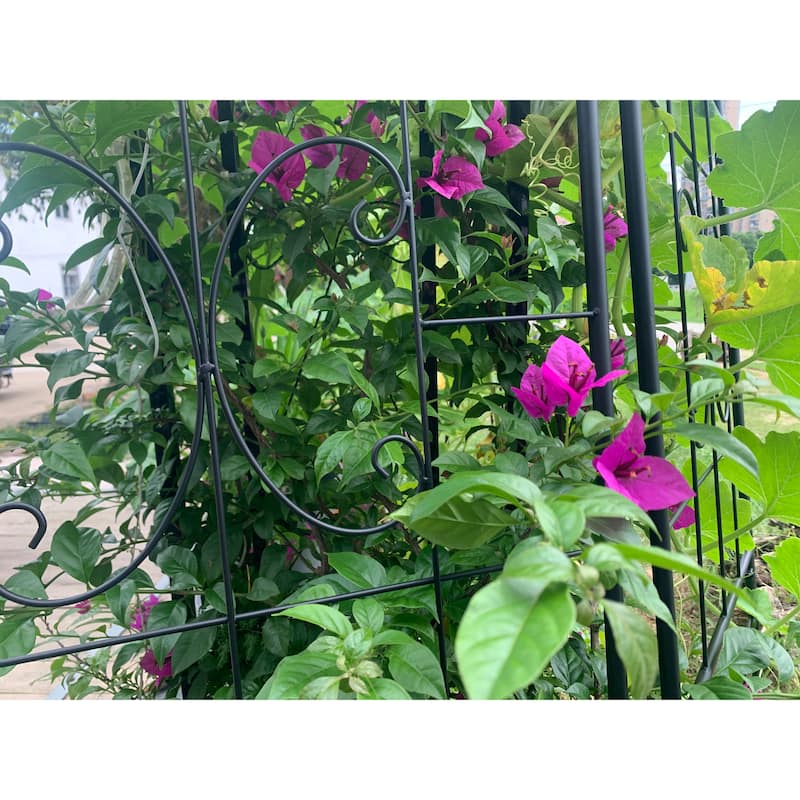 Metal Garden Trellis, 2 Pack Metal Trellis for Climbing Plants, Indoor/Outdoor Plant Trellis, Lawn Garden Fence Decor Screen