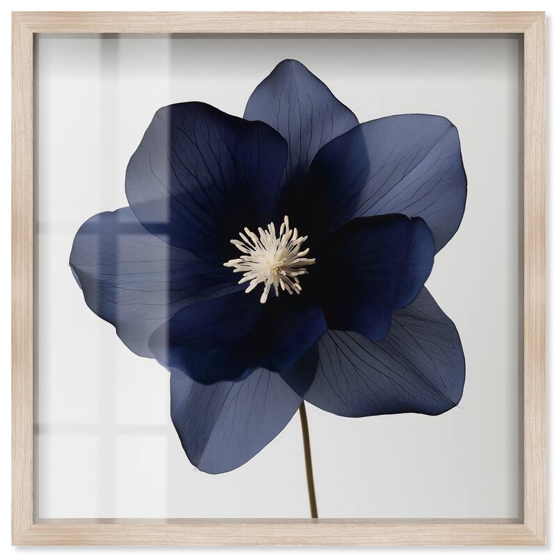 Night Dal II Shadowbox by Art Remedy - Natural - 40" x 40"