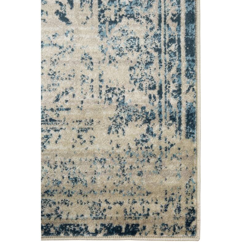 Domani Chandra Distressed Boho Traditional Rug