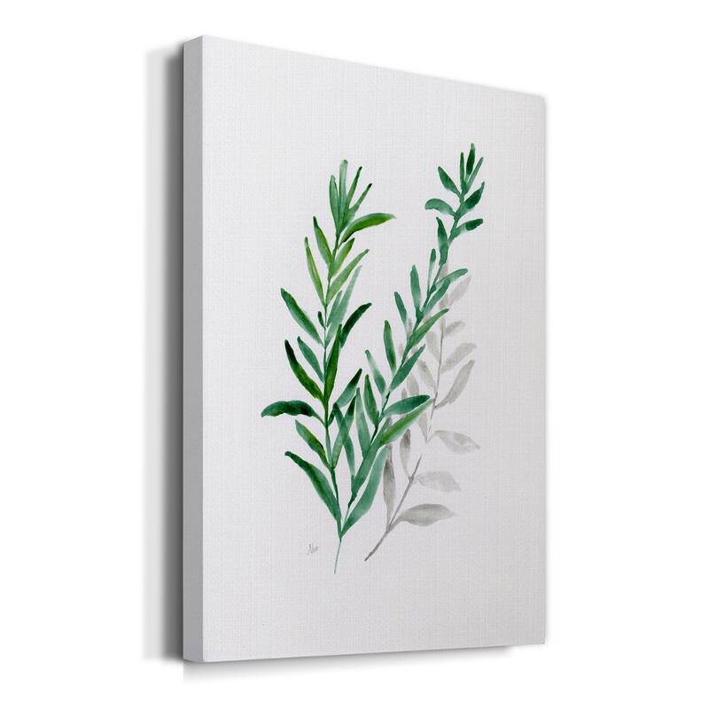 Freshly Picked II Premium Gallery Wrapped Canvas - Ready to Hang
