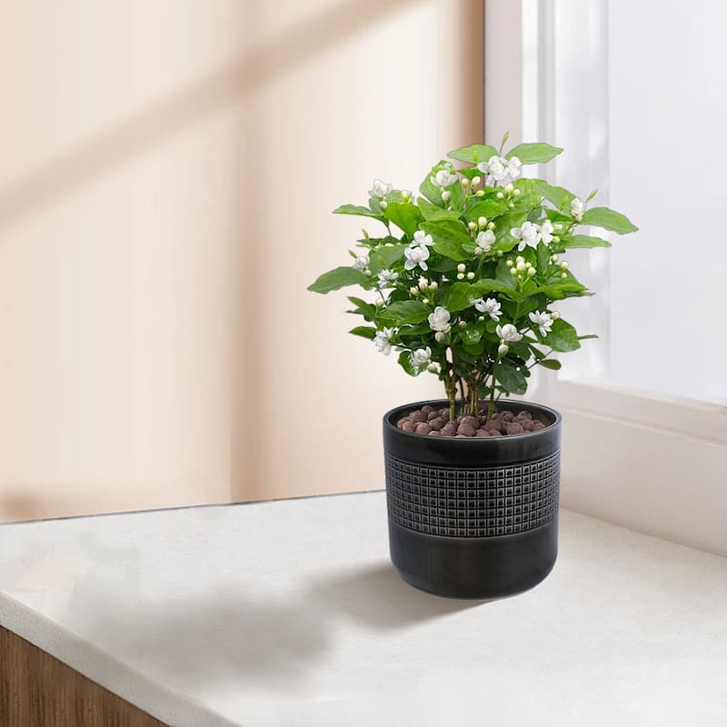 3 Pieces Modern Planter for Patio Black