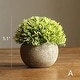 preview thumbnail 3 of 6, RusticReach Artificial Boxwood Topiary in Various Designs