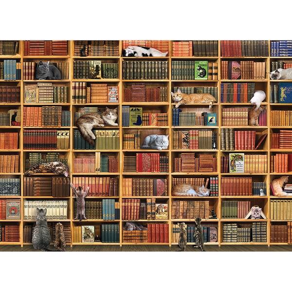 Shop Outset Media Books And Cats 1000 Piece Jigsaw Puzzle