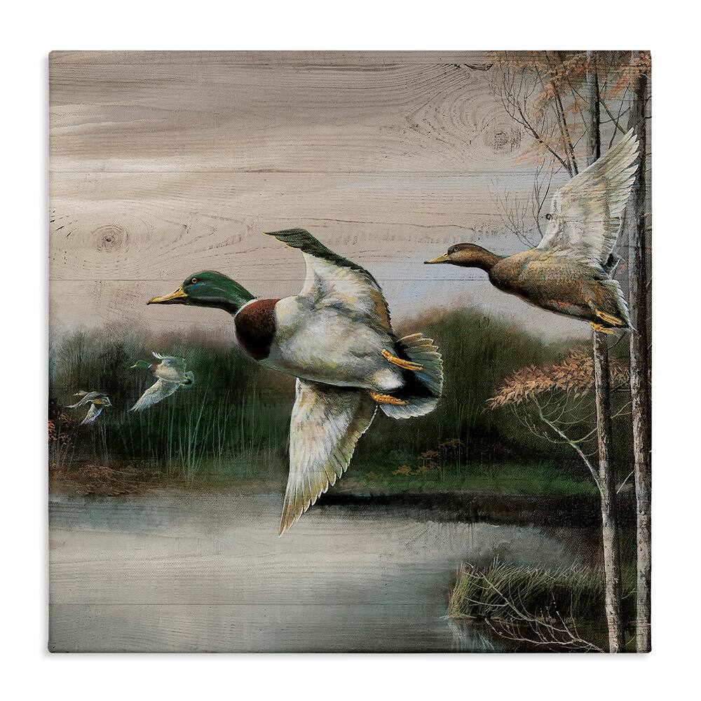 Stupell Flying Ducks in Rustic Nature Canvas Wall Art Design By Ruane Manning