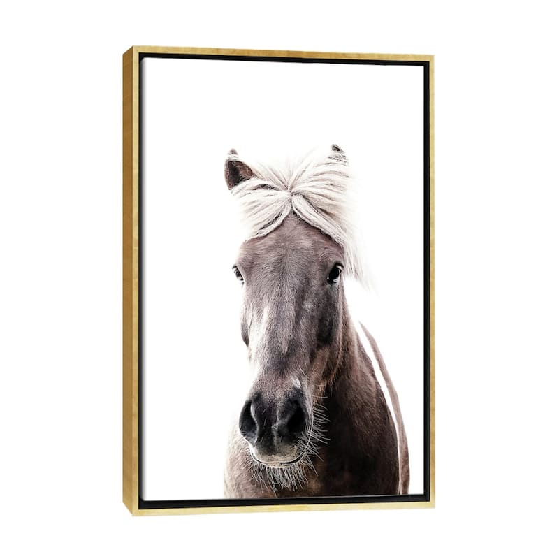 iCanvas "Iceland Horse Lucy I" by Monika Strigel Framed - Gold - 26x18