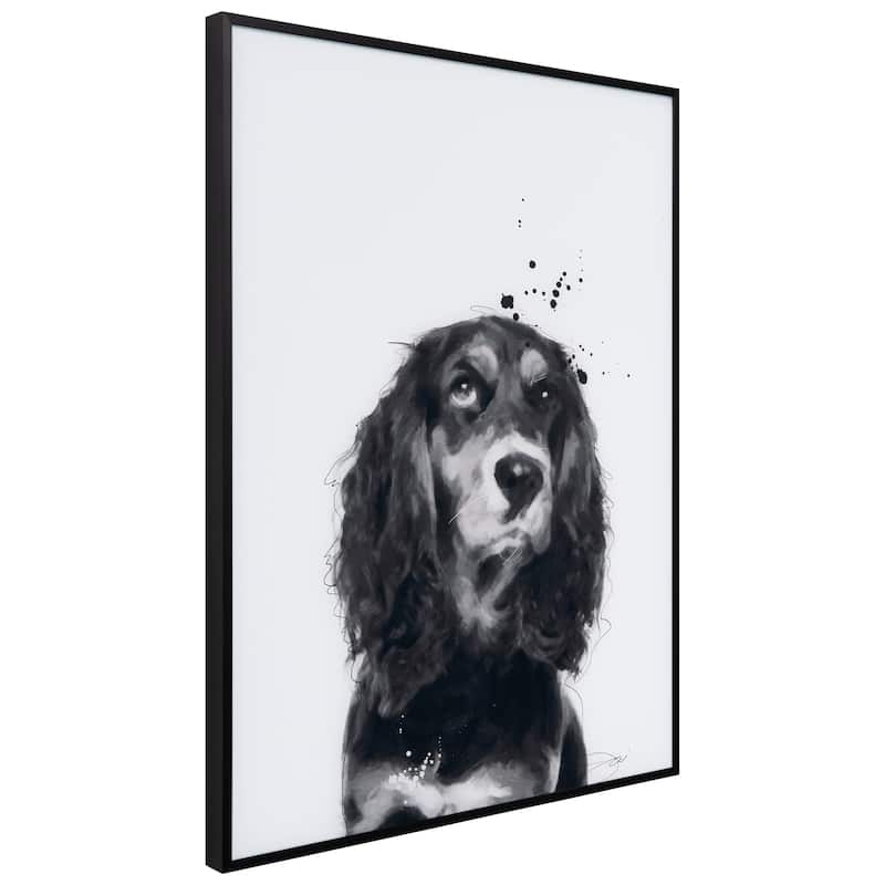 "Cocker Spaniel" Black and White Pet Portraits on Reverse Printed Art Glass, Minimally Encased on Black Anodized Aluminum Frame