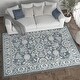 preview thumbnail 16 of 40, Carrington Traditional Border Indoor Area Rug