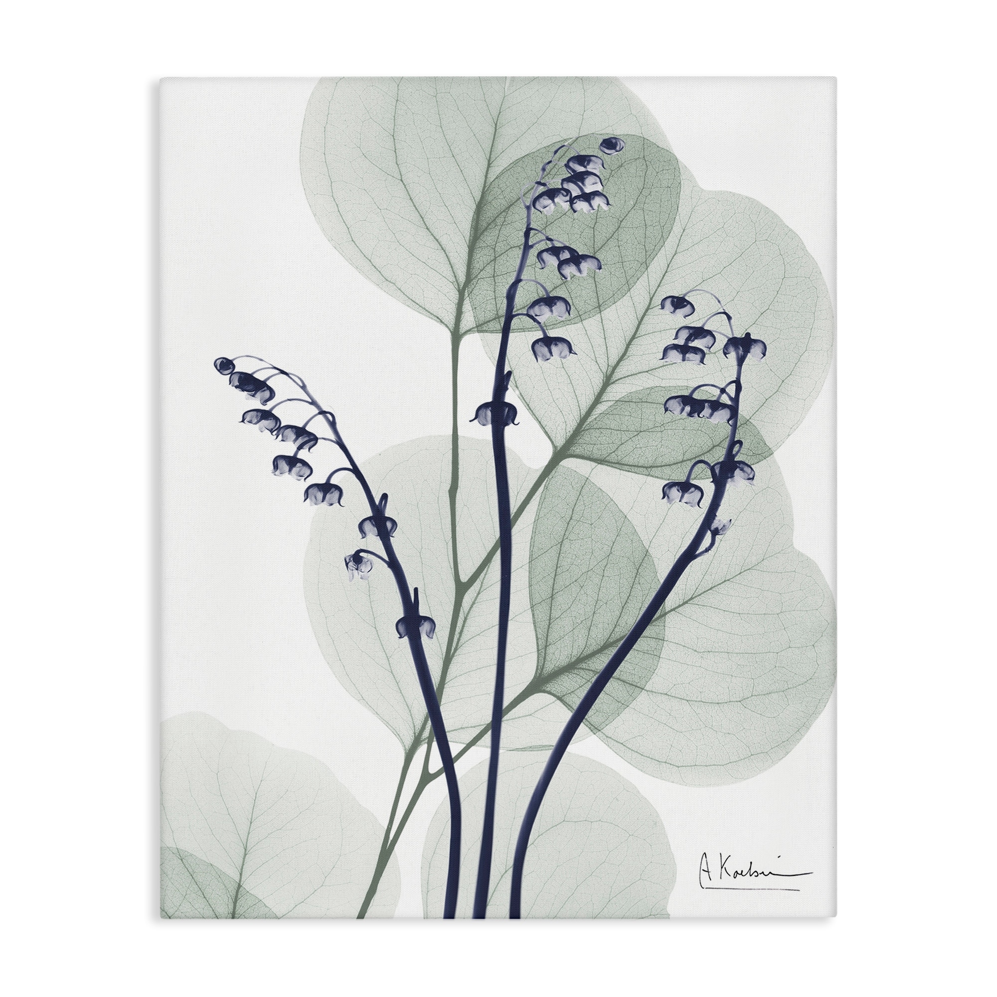 Stupell Serene Modern Eucalyptus Canvas Wall Art Design By Albert Koetsier