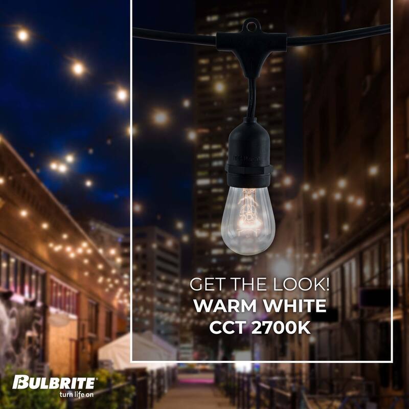 Bulbrite 48 ft Indoor/Outdoor 15-Socket (E26) Decorative String Light Kit, Black