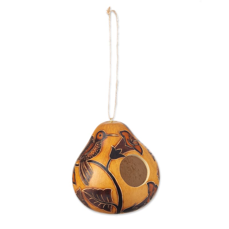 Novica Handmade Flight Of The Hummingbird Dried Gourd Birdhouse
