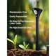 preview thumbnail 6 of 6, LED Solar Pathway Light, Motion Sensor, Lighting Throughout the Night - 4Pack