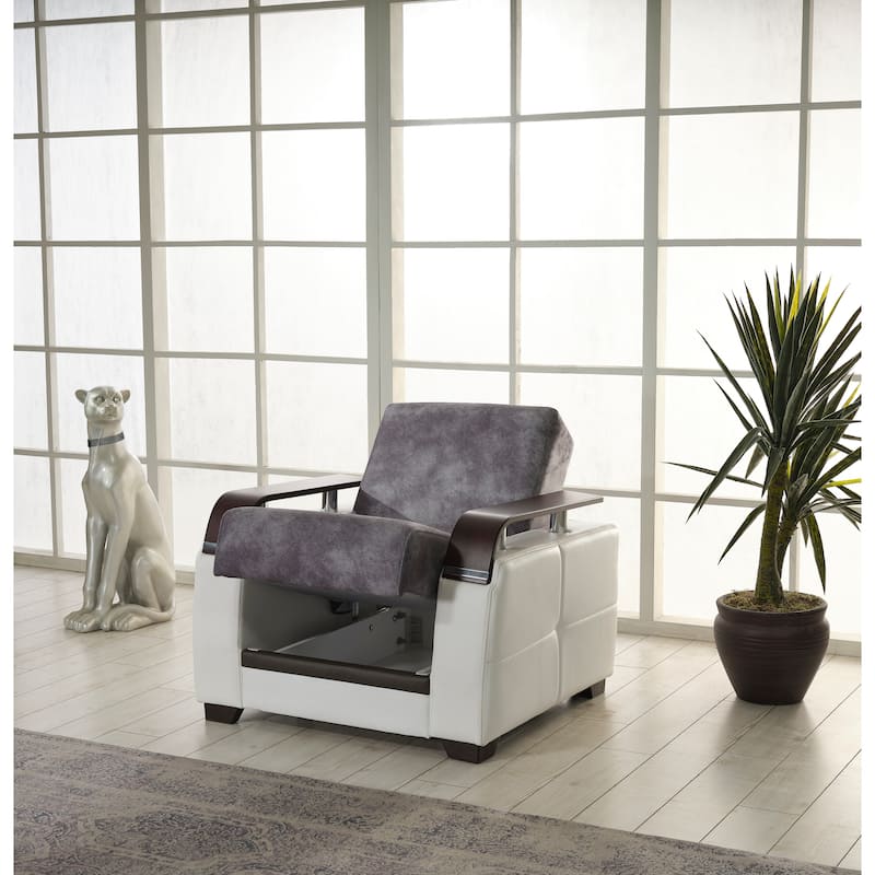 Regina Modern Comfortable Chair For Living Room
