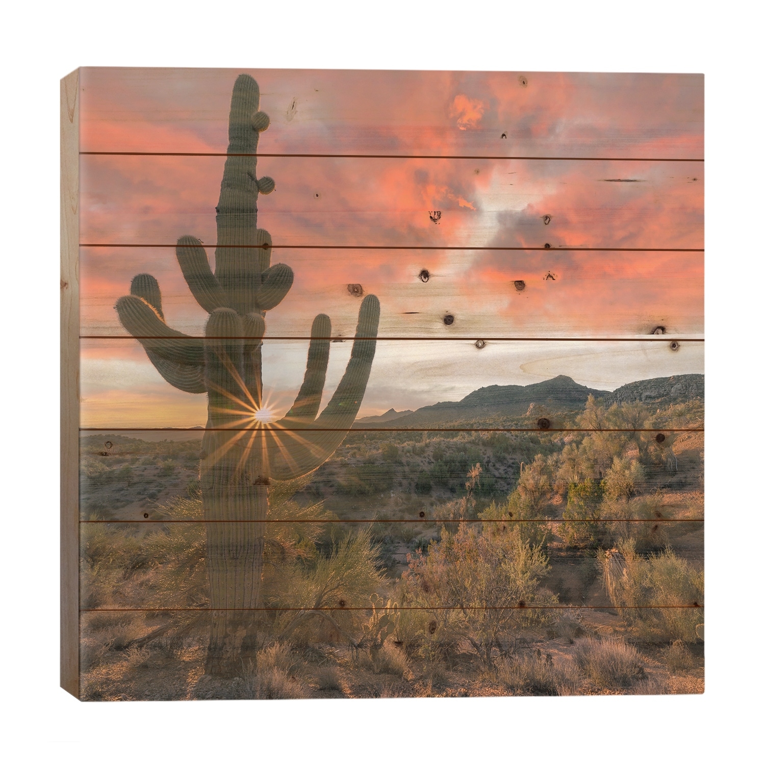 Saguaro Cactus At Sunset, Poachie Range, Arizona Print On Wood by Tim Fitzharris - Multi-Color