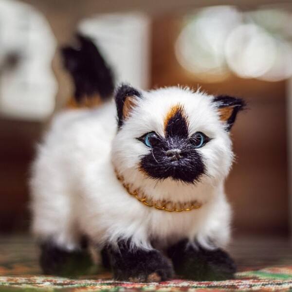 Shop 18 Inch Doll Pet Accessory Truly Adorable Realistic Blue Eyed Siamese Kitty Cat Compatibly Sized For American Girl Dolls Overstock 29737622