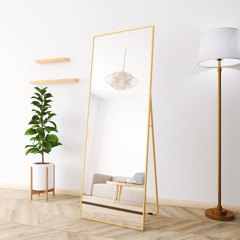 65" x 24" Full Length Mirror with Alloy Frame