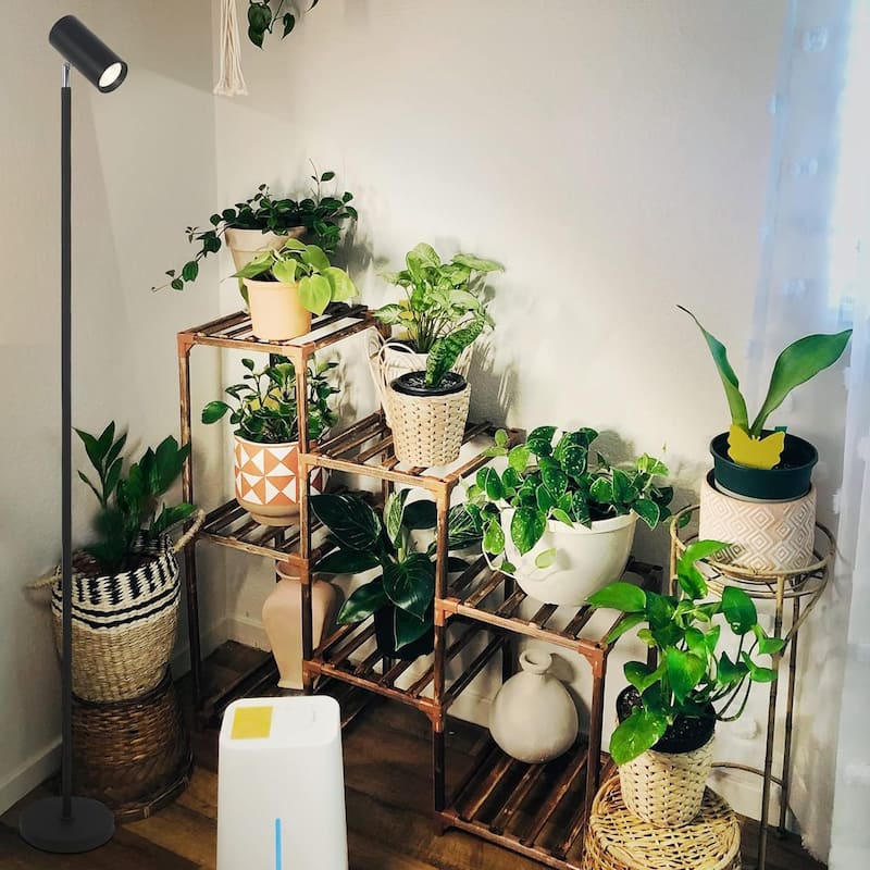 Grow Lights Stand for Indoor Plants Full Spectrum Tall Plant Light for Indoor Growing with 20W COB Plant Light Bulb